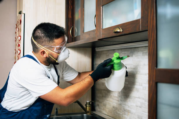 Best Affordable Pest Control Services  in Fest Grove, OR