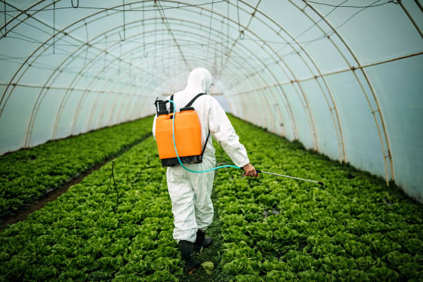Trusted Forest Grove, OR Pest Control Experts